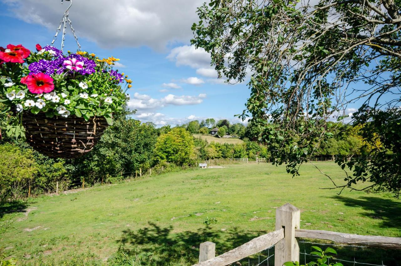Lavender Lodge Arundel Eksteriør bilde